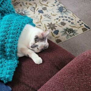 Meet your Posher, Cathy